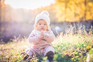 第一节：生肖与夜惊的奥秘