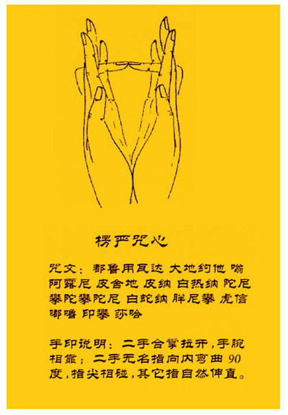十诵律吉凶戒诵楞严咒时，需要持什么戒律？