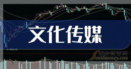 取名提议