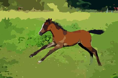 1978年属马的人，哪个月出生命运最佳？