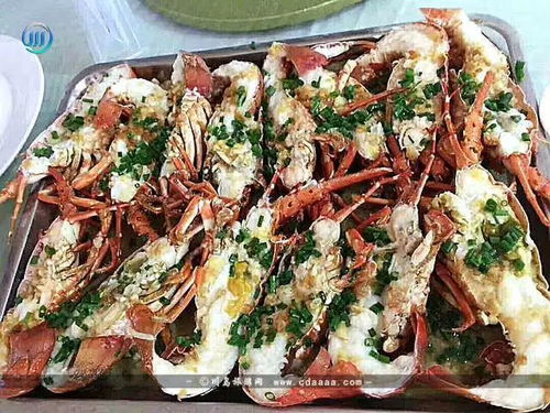 青岛渔村：想舒舒服服吃顿饭的选择