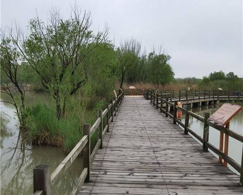 寻觅免费之旅的艰辛