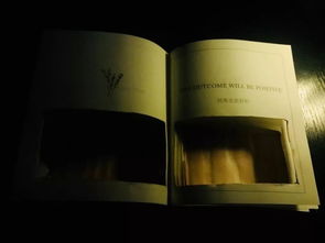 星盘分析（纯粹胡诌）