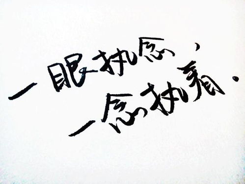 五天后哪个星座嫩放下执着，丢掉不舍，遇见良人，开启新生活呢？