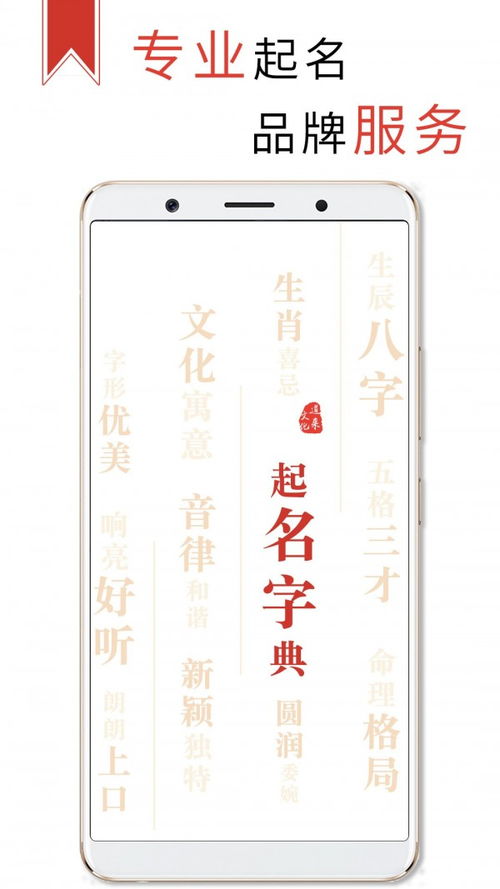四、 实用案例：随机生成的