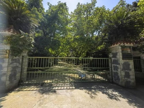 再往北走一点， 就能发觉圣水寺——沱江环抱中的禅意空间范围