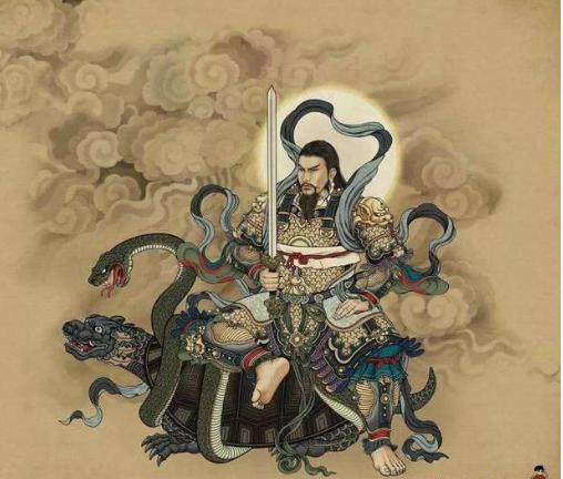 天选之子的秘密：那些让你惊掉下巴的真相