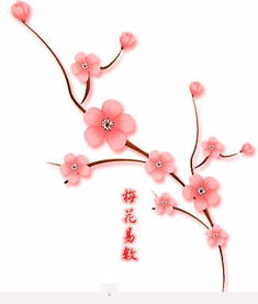 梅花易数与梅花易数吉凶成败有何本质区别？