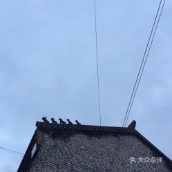 废墟之美：从破碎中寻找灵感