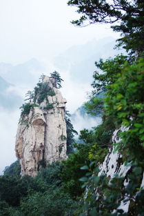 一、 迷雾重重的初识