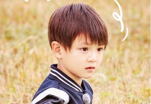 带功字的男孩名字：较深度剖析