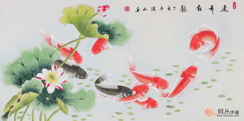 风水龙能干啥？