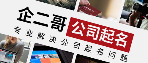 二、 实战案例：30+ 三字农业生产公司名称集锦（附表格）📊📝🔍