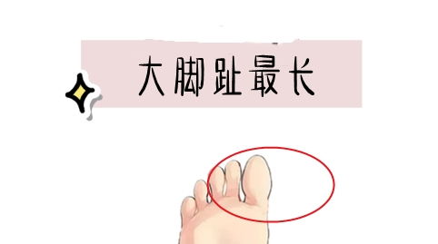 一、 富有市场价格较高相的“三较大特征”——别指望它们像数学公式那么严谨
