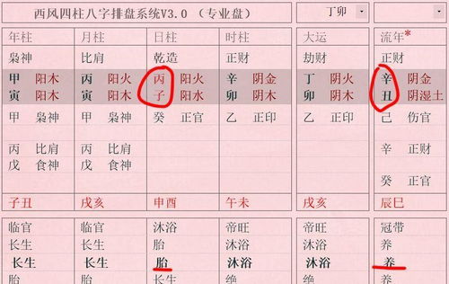 如何同过八字排盘官方免费版分析女命财星破印对婚姻的影响？