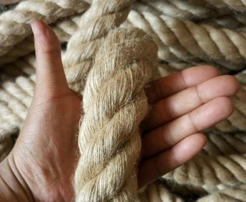 顿悟与害怕与五行生克