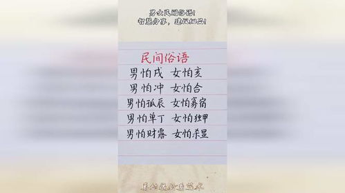 名字里的智慧与成就