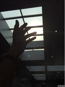 黎明前的黑