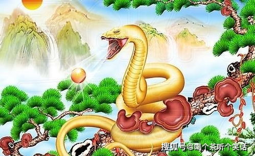 2001年属蛇人2026年农历七月运势和全年运势详解分别是什么？