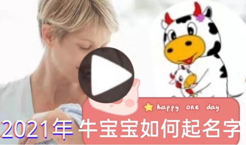 关于那个什么岚字给牛崽子取名的玄学大赏
