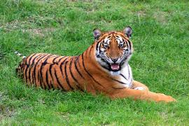 1. 惯与那个传说中的888元旅居卡