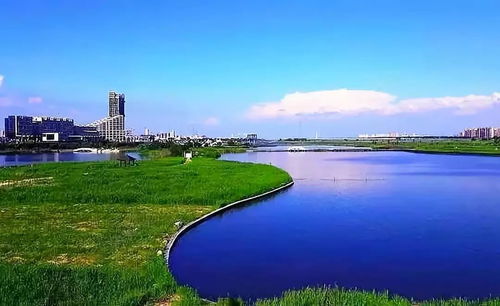 红海滩：美丽的烦恼