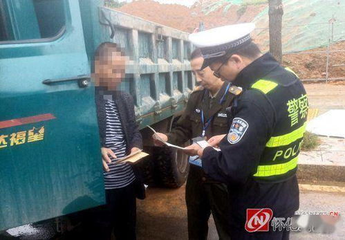 投资项目提议与今后展望