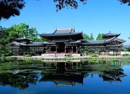 白云寺：古树参天