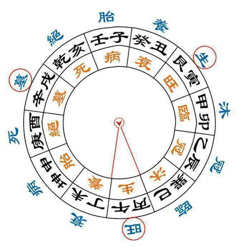 如何通过八字查询桃花运势？