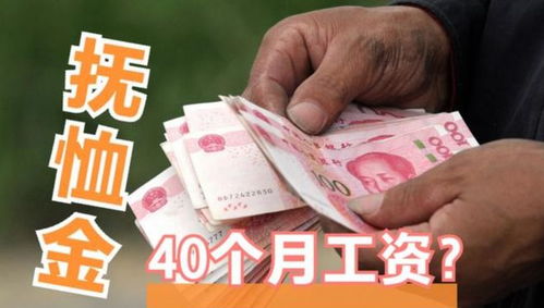 十月节气特征与择吉关键性——乱序版（不想太规整）