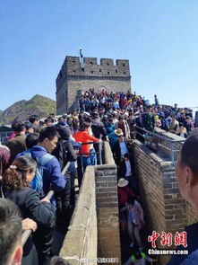 过夜游客 vs 白天游客：谁更爱吃海鲜？