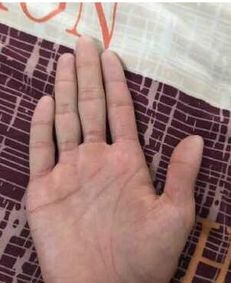 2. 不祥之兆？还是说是性格测试？