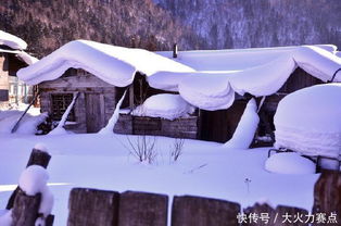 四点半提醒：防坑指南速速收藏！！！！！（可能会被系统检测， 请自行斜体隐藏）*注*