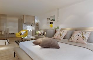 2.1 乱七八糟的线上平台