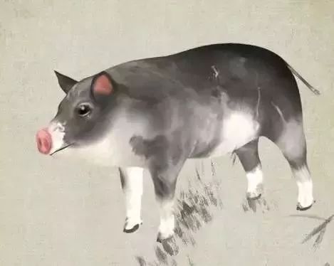 事业运势（八字解析）