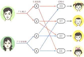 一、 先把猴宝宝的八字摆上桌面（别忘了配杯炎热奶茶）