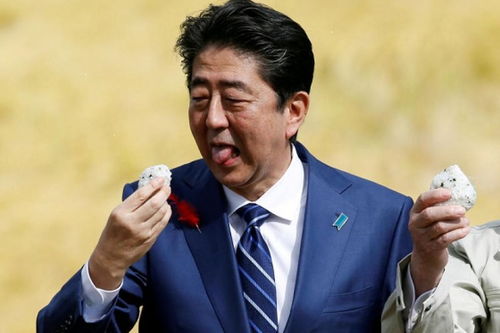 2026年暴富指南：不看你绝对后悔到撞墙！