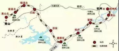 金兰花谷的奇幻冒险：一场让你怀疑人生的旅行
