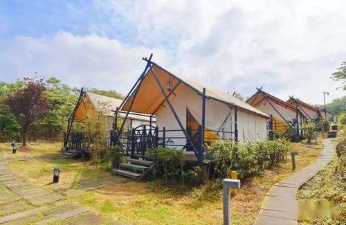 建筑控的狂欢：每一块砖都在尖叫