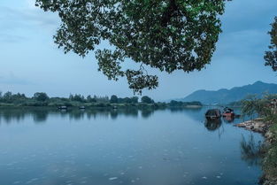 游船体验：人在画中游