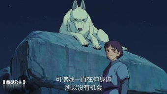 第一章：细小公主的梦与生肖的纠葛