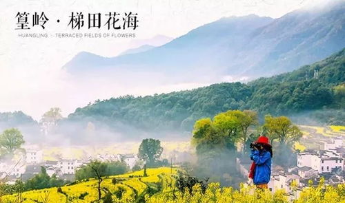 旅行花费：花钱如流水还是精打细算？