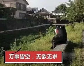惠济山的佛系修仙