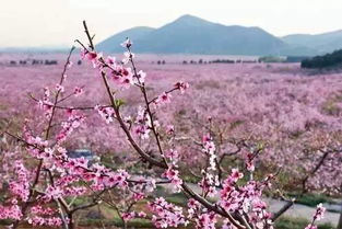 锦州一日游