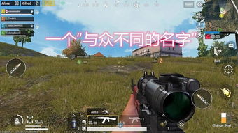 名字的灵魂：别问为什么 就是感觉