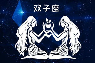 双子座：神经质运动狂