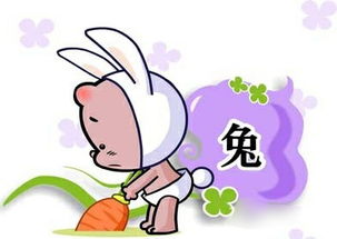 属兔妈妈和属牛爸爸，他们的孩子最好属什么生肖？