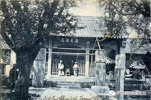 前言：一场说走就走的襄阳“乱”旅