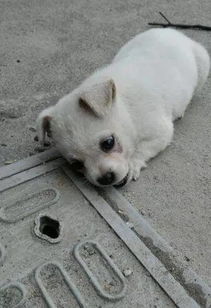 真实相的真实相: 你绝对猜不到