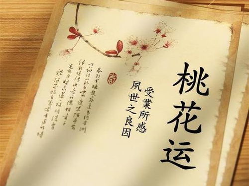 除了八字，“个人因素”更重要